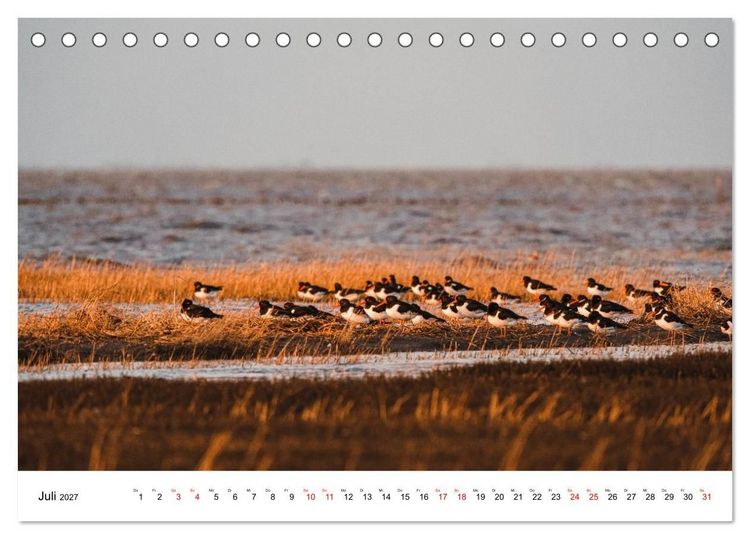 Produktbild: Pellwormer Ogenblicke, ein Streifzug durch ein Inseljahr (Tischkalender 2027 DIN A5 quer), CALVENDO Monatskalender