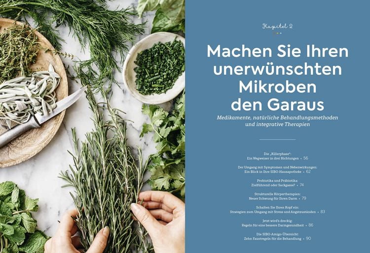 Produktbild: SIBO - Wenn der Darm in Aufruhr ist