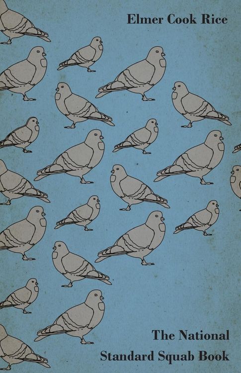 Produktbild: The National Standard Squab Book - A Practical Manual for the Installation of a Successful Squab Plant - How to Make a Pigeon and Squab Business Pay