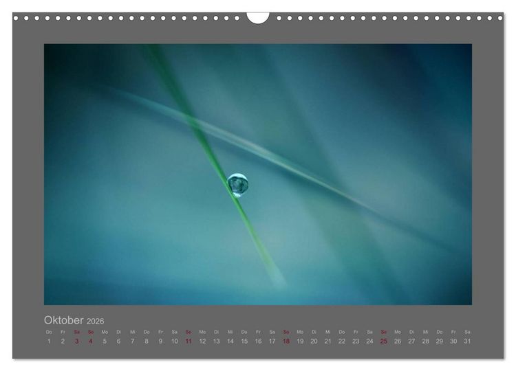 Produktbild: Kleine, gro&szlig;e Tropfenwelt (Wandkalender 2026 DIN A3 quer), CALVENDO Monatskalender