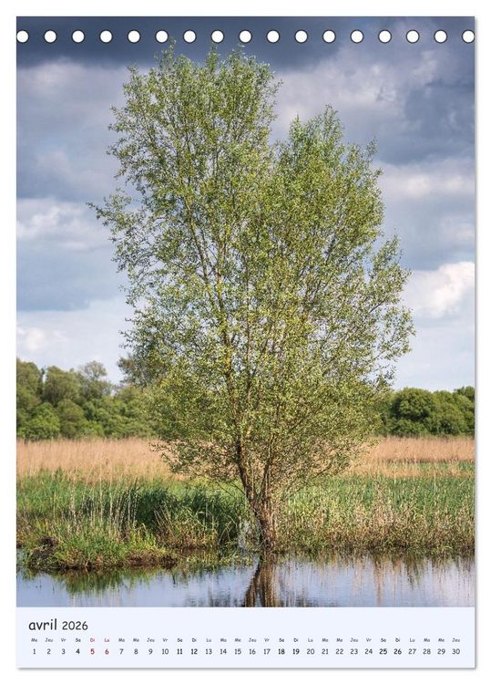 Produktbild: Arbres solitaires (Calendrier de bureau 2026 DIN A5 horizontal), CALVENDO calendrier mensuel