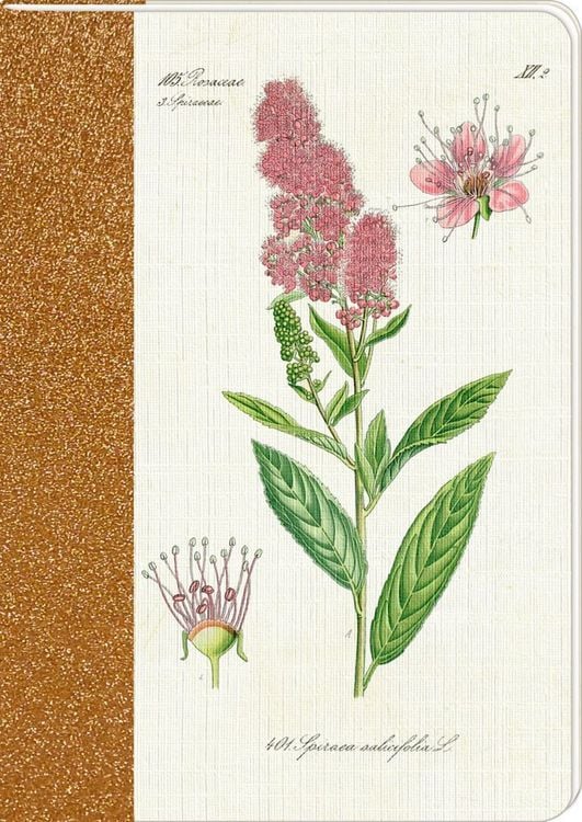 Produktbild: Notizhefte - Sammlung Augustina - DIN A5