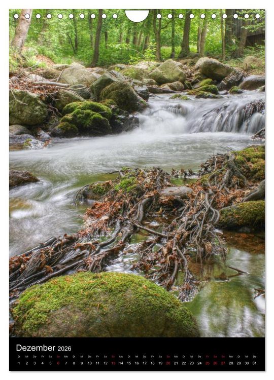 Produktbild: Typisch Harz (Wandkalender 2026 DIN A4 hoch), CALVENDO Monatskalender