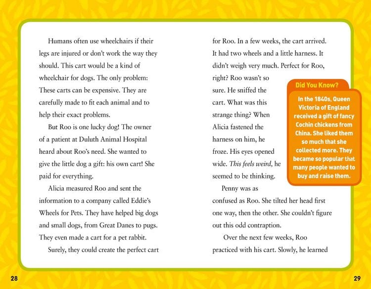 Produktbild: National Geographic Kids Chapters: Together Forever!