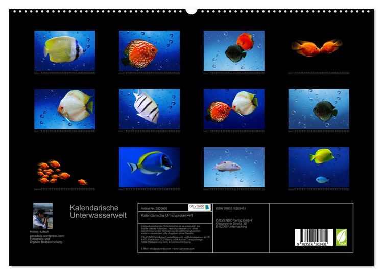 Produktbild: Kalendarische Unterwasserwelt (hochwertiger Premium Wandkalender 2026 DIN A2 quer), Kunstdruck in Hochglanz
