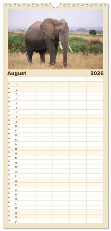 Produktbild: Familienplaner 2026 - Kenias wilde Elefanten mit 5 Spalten (Wandkalender, 21 x 45 cm) CALVENDO