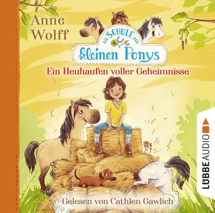 Bild vom Artikel Ein Heuhaufen voller Geheimnisse vom Autor Anne Wolff