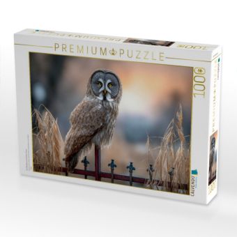 Produktbild: CALVENDO Puzzle Ein Bartkauz auf einem Zaun | 1000 Teile Lege-Gr&ouml;&szlig;e 64x48cm Foto-Puzzle f&uuml;r gl&uuml;ckliche Stunden