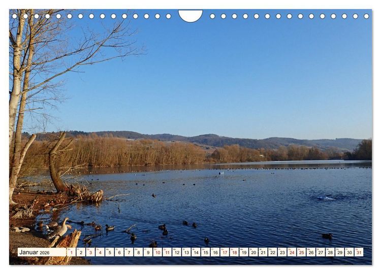 Produktbild: Vom Ried an die Bergstra&szlig;e, durch den Odenwald ins Neckartal (Wandkalender 2026 DIN A4 quer), CALVENDO Monatskalender