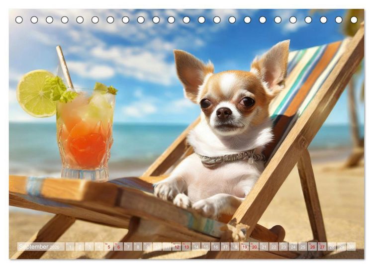 Produktbild: Chillige Chihuahuas - Entspannte Fellnasen genie&szlig;en das Leben (Tischkalender 2026 DIN A5 quer), CALVENDO Monatskalender
