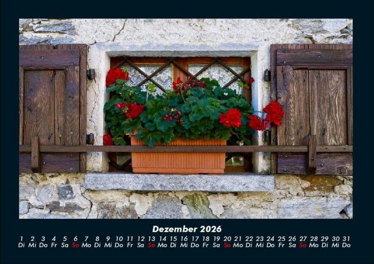 Produktbild: Blumentr&auml;ume 2026 Fotokalender DIN A4