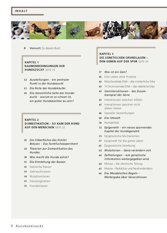 Produktbild: Rassehundezucht