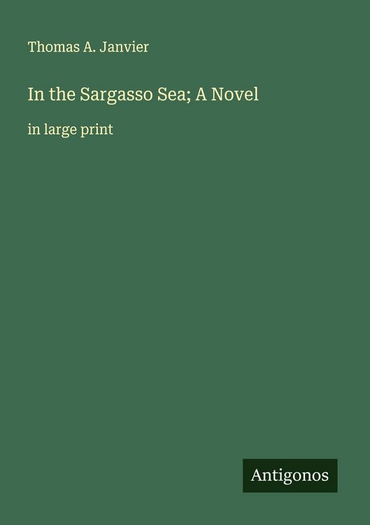 Produktbild: In the Sargasso Sea; A Novel