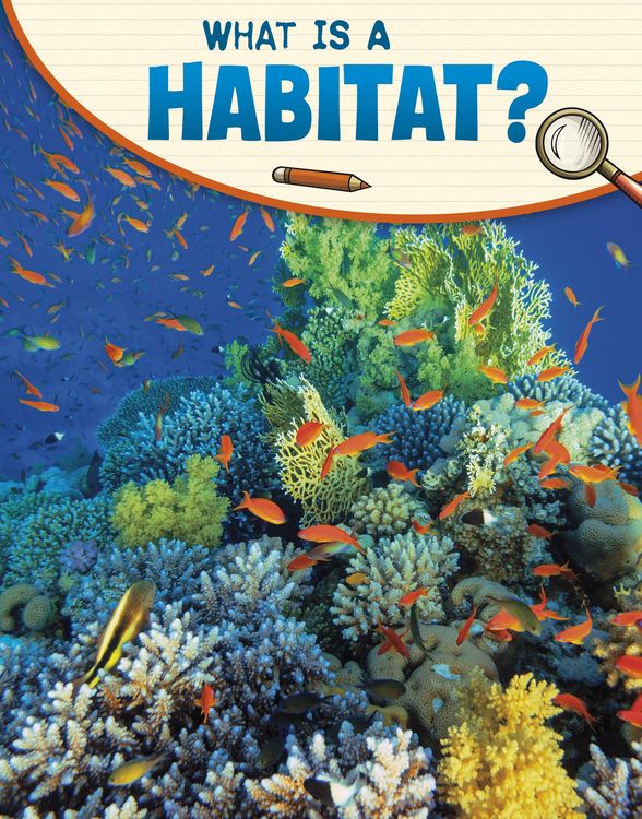 Produktbild: What Is a Habitat?