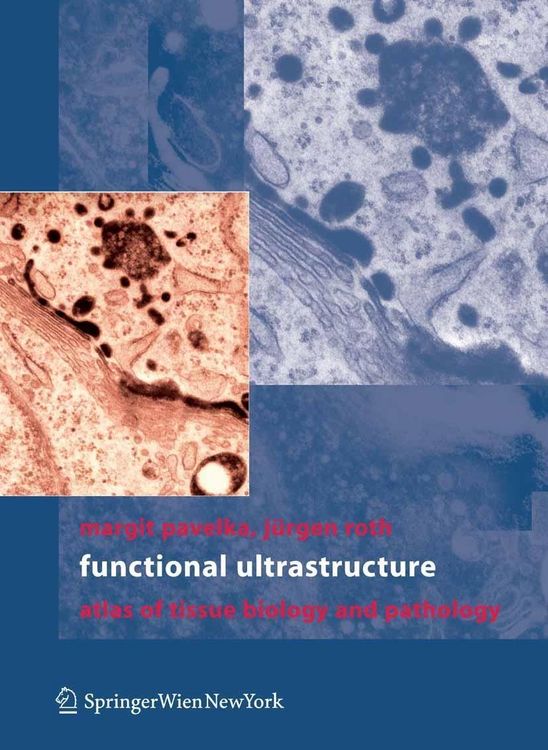 Produktbild: Functional Ultrastructure