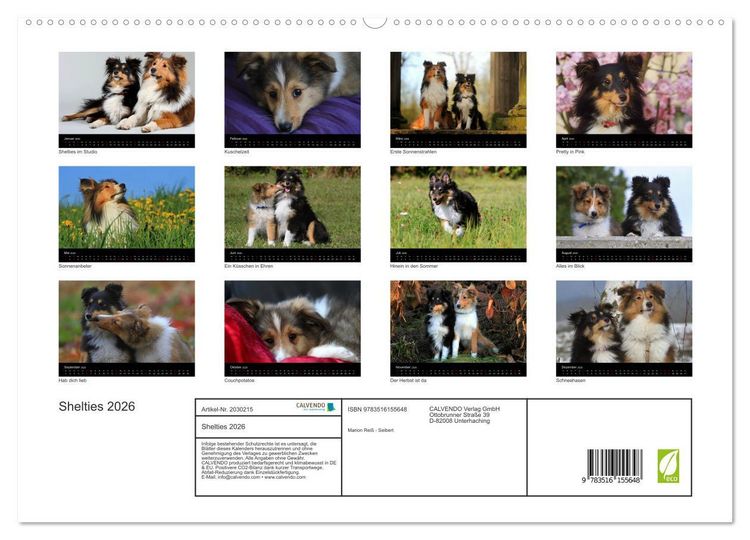 Produktbild: Shelties 2026 (hochwertiger Premium Wandkalender 2026 DIN A2 quer), Kunstdruck in Hochglanz