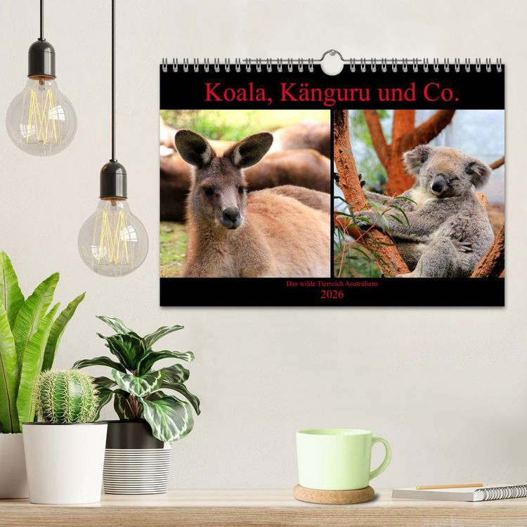 Produktbild: Koala, K&auml;nguru und Co. &ndash; Das wilde Tierreich Australiens (Wandkalender 2026 DIN A4 quer), CALVENDO Monatskalender