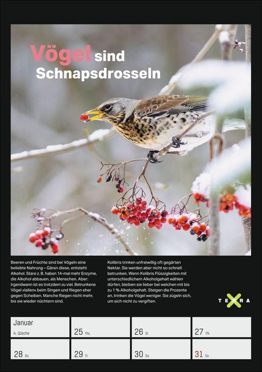 Produktbild: Terra X &ndash; Das Wunder Erde Wochenplaner 2027