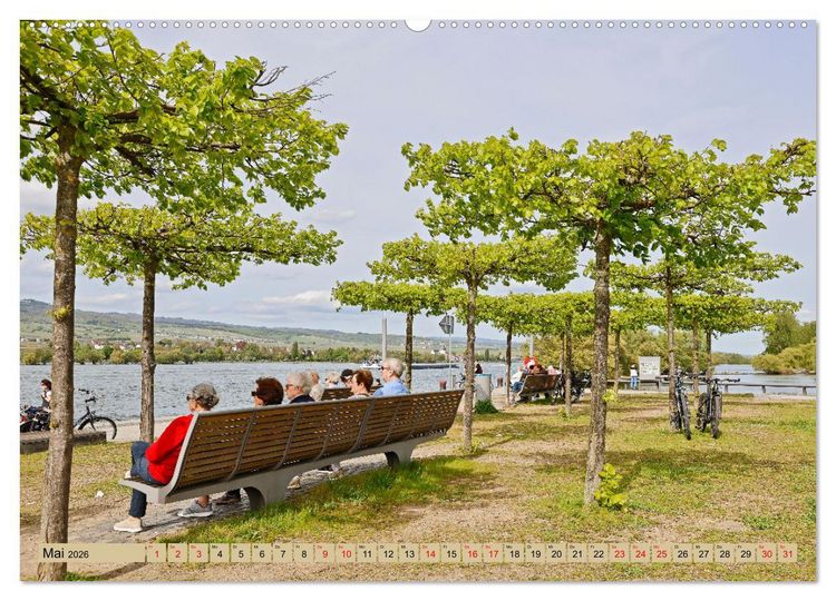 Produktbild: Ingelheim - Rotweinstadt am Rhein (hochwertiger Premium Wandkalender 2026 DIN A2 quer), Kunstdruck in Hochglanz