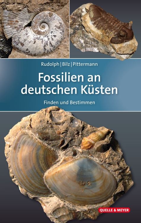 Produktbild: Fossilien an deutschen Küsten