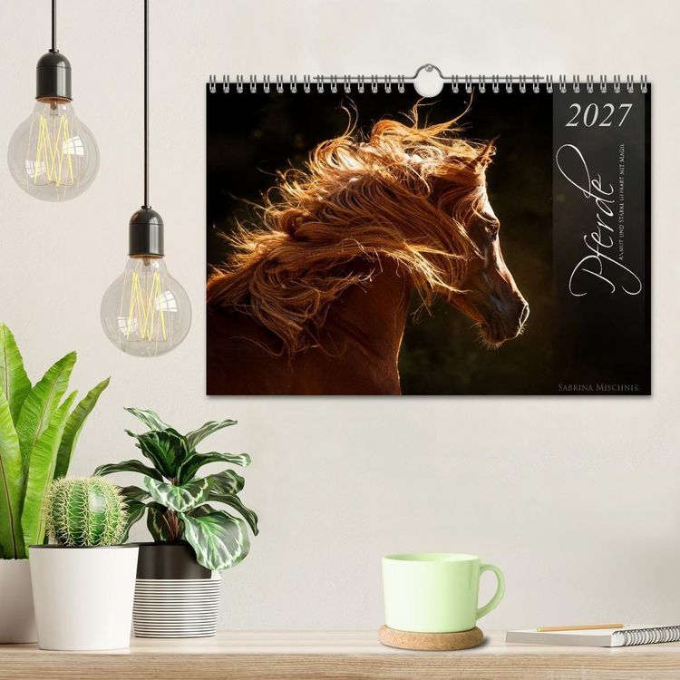 Produktbild: Pferde - Anmut und St&auml;rke gepaart mit Magie (Wandkalender 2027 DIN A4 quer), CALVENDO Monatskalender