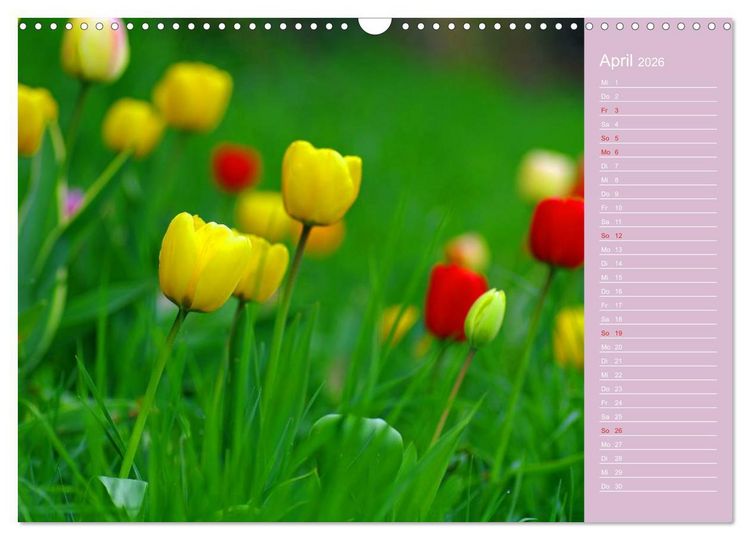 Produktbild: Blumenfreude (Wandkalender 2026 DIN A3 quer), CALVENDO Monatskalender