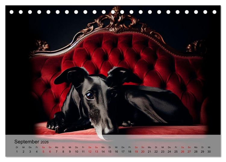 Produktbild: Black is beautiful (Tischkalender 2026 DIN A5 quer), CALVENDO Monatskalender