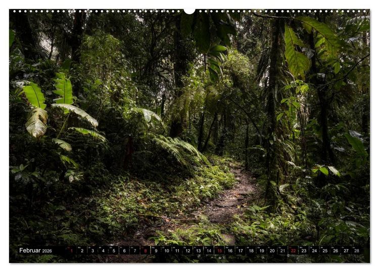 Produktbild: COSTA RICA Farben und Licht (Wandkalender 2026 DIN A2 quer), CALVENDO Monatskalender