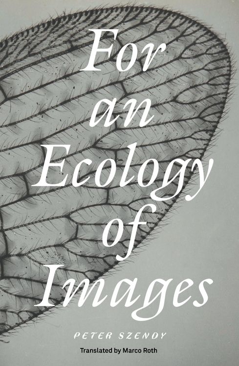 Produktbild: For an Ecology of Images