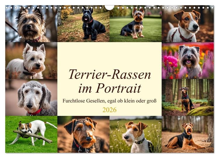 Produktbild: Terrier-Rassen im Portrait (Wandkalender 2026 DIN A3 quer), CALVENDO Monatskalender