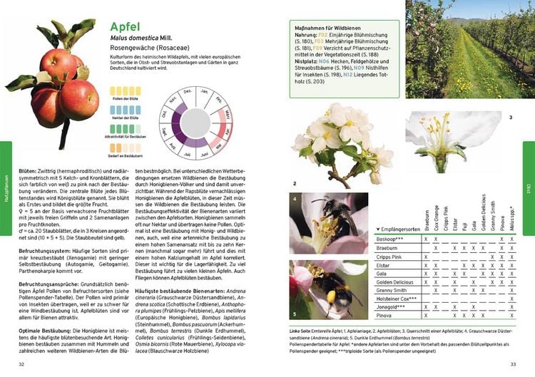 Produktbild: Praxishandbuch Nutzpflanzenbest&auml;ubung
