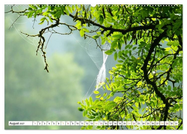 Produktbild: 12 Monate Natur (hochwertiger Premium Wandkalender 2027 DIN A2 quer), Kunstdruck in Hochglanz