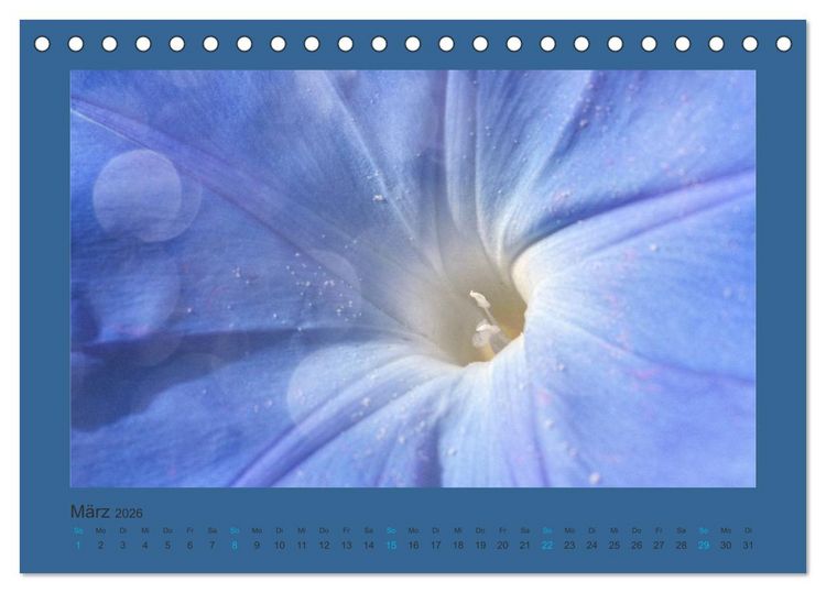Produktbild: 12 Farben (Tischkalender 2026 DIN A5 quer), CALVENDO Monatskalender