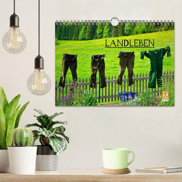 Produktbild: Landleben (Wandkalender 2026 DIN A4 quer), CALVENDO Monatskalender
