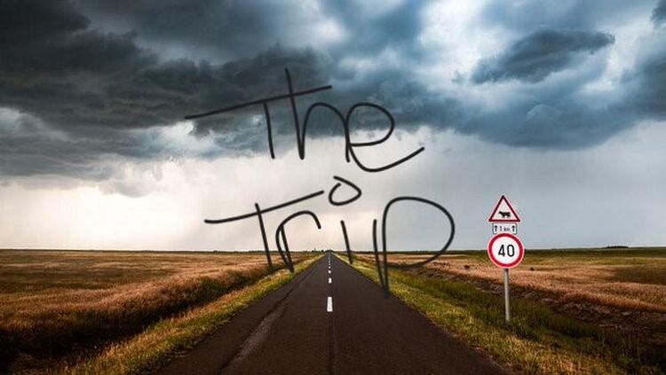 Produktbild: The Trip