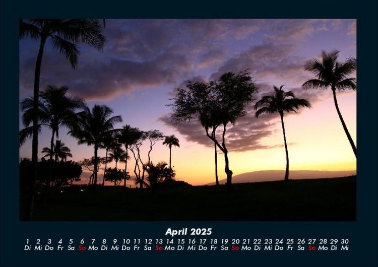 Produktbild: Palmentraum 2025 Fotokalender DIN A4