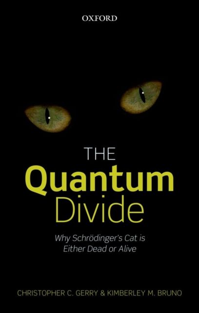 Produktbild: Quantum Divide