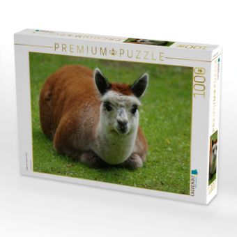 Produktbild: CALVENDO Puzzle Liegendes Alpaka Fohlen | 1000 Teile Lege-Gr&ouml;&szlig;e 64x48cm Foto-Puzzle f&uuml;r gl&uuml;ckliche Stunden