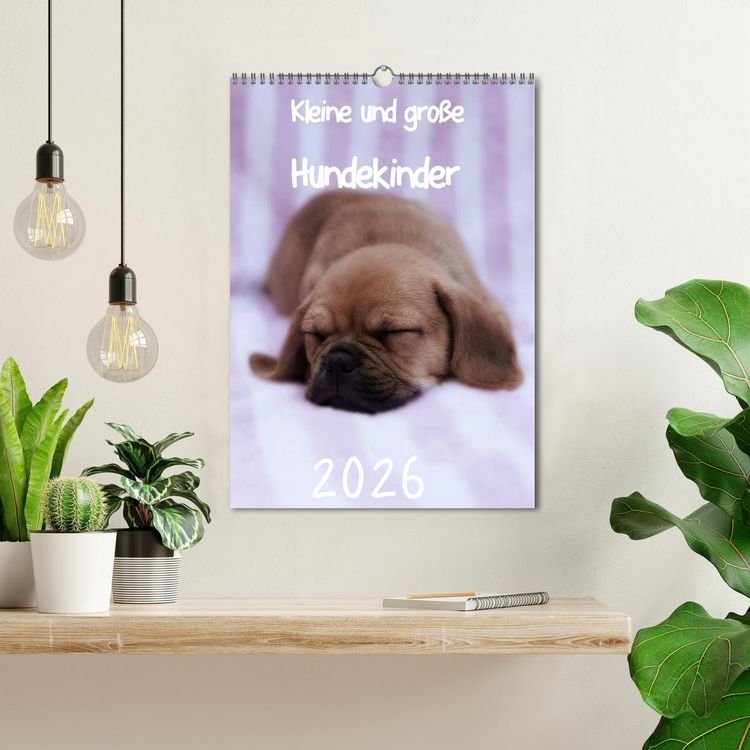 Produktbild: Kleine und gro&szlig;e Hundekinder 2026 (Wandkalender 2026 DIN A3 hoch), CALVENDO Monatskalender