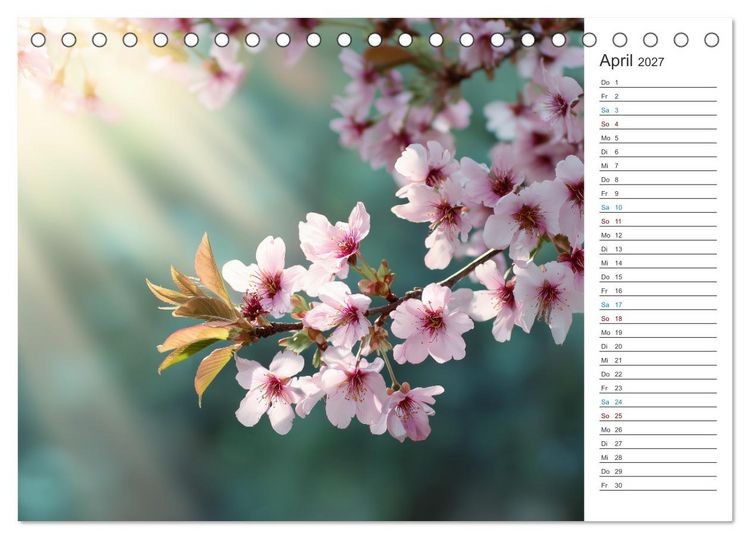 Produktbild: Japanische Kirschbl&uuml;te (Tischkalender 2027 DIN A5 quer), CALVENDO Monatskalender