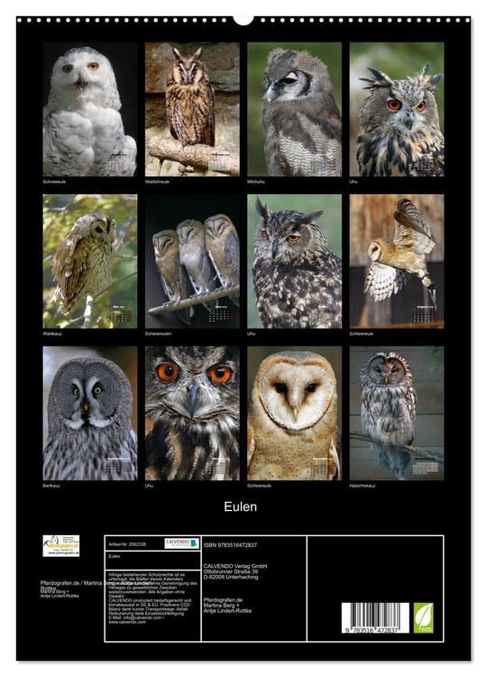Produktbild: Eulen (hochwertiger Premium Wandkalender 2026 DIN A2 hoch), Kunstdruck in Hochglanz