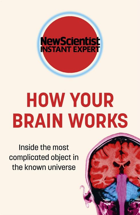 Produktbild: How Your Brain Works