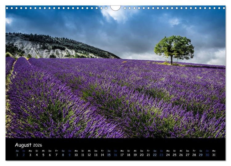 Produktbild: Provence - Lavendelbl&uuml;te (Wandkalender 2026 DIN A3 quer), CALVENDO Monatskalender