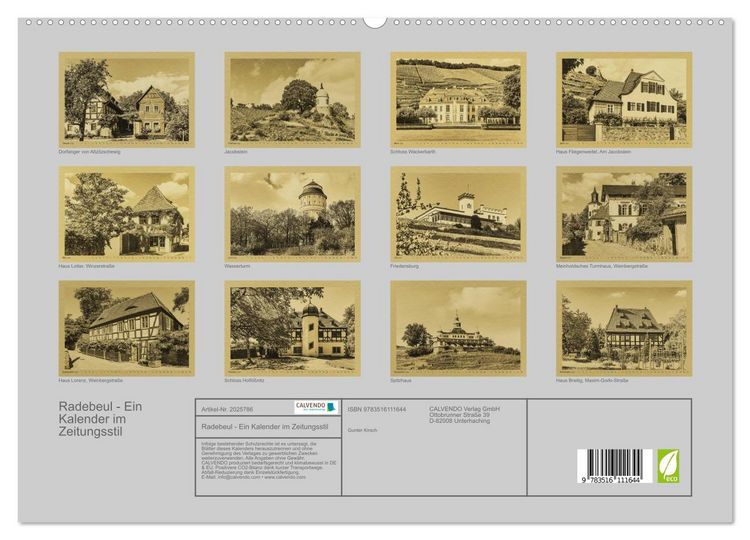 Produktbild: Radebeul - Ein Kalender im Zeitungsstil (hochwertiger Premium Wandkalender 2026 DIN A2 quer), Kunstdruck in Hochglanz