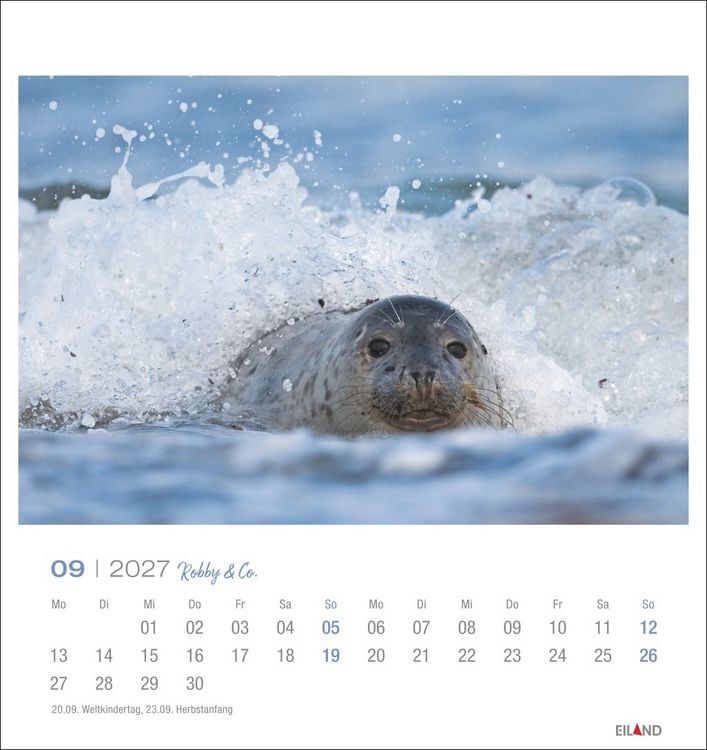 Produktbild: Robby & Co. Postkartenkalender 2027