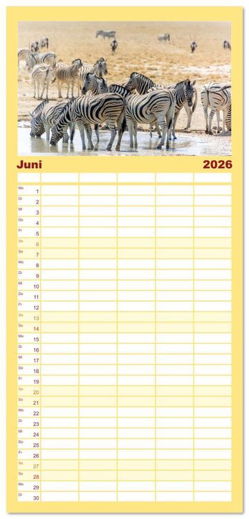 Produktbild: Familienplaner 2026 - Zebras in Afrika mit 5 Spalten (Wandkalender, 21 x 45 cm) CALVENDO