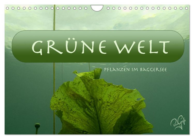 Produktbild: Baggersee - die gr&uuml;ne Welt (Wandkalender 2026 DIN A4 quer), CALVENDO Monatskalender