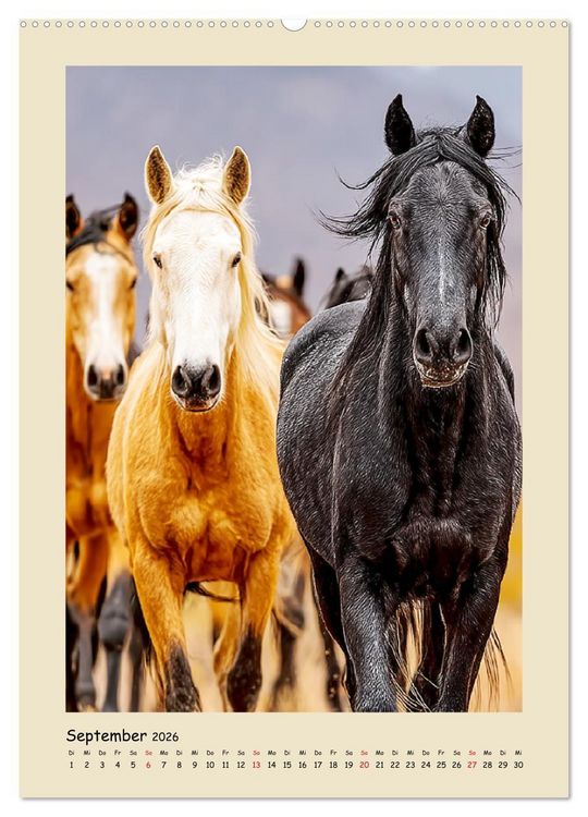 Produktbild: Amerikanische Mustangs. Symbole f&uuml;r Freiheit und Pioniergeis (Wandkalender 2026 DIN A2 hoch), CALVENDO Monatskalender