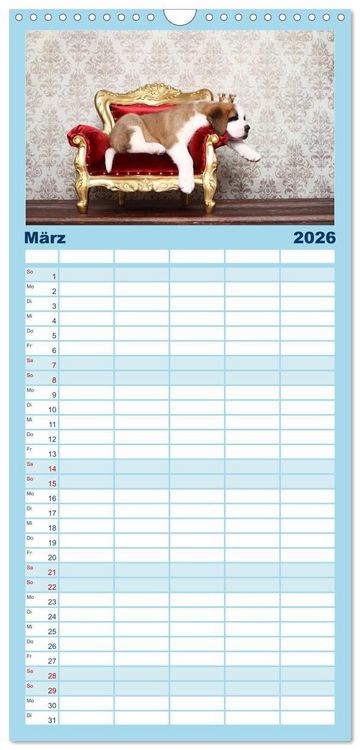 Produktbild: Familienplaner 2026 - S&uuml;&szlig;e Tr&auml;ume 2026 - schlafende Hundewelpen mit 5 Spalten (Wandkalender, 21 x 45 cm) CALVENDO
