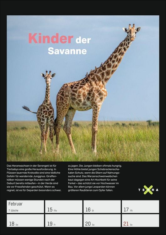 Produktbild: Terra X &ndash; Das Wunder Erde Wochenplaner 2027